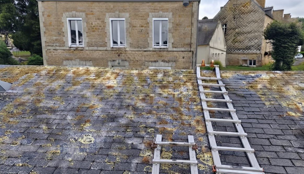 Toiture en ardoise recouverte de mousse et de lichens, avant les travaux
